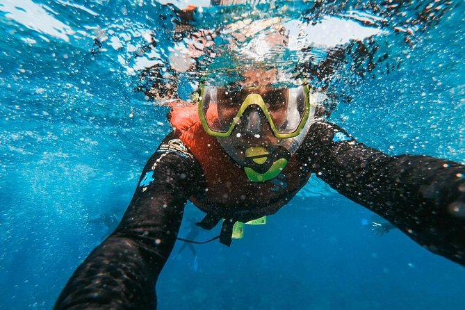 Snorkeling in Gran Canaria with Hotel Pick-up - Equipment that makes the sea more comfortable