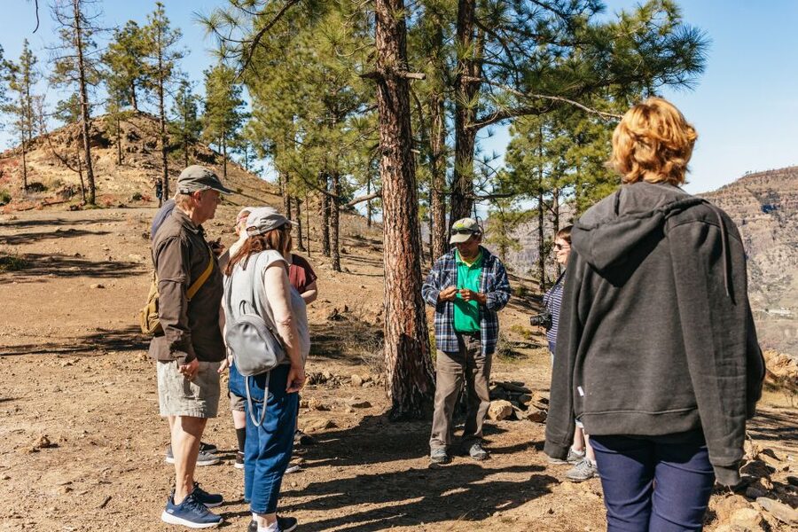 South Gran Canaria: Off-Road Valleys & Villages Jeep Tour - Key points before you book
