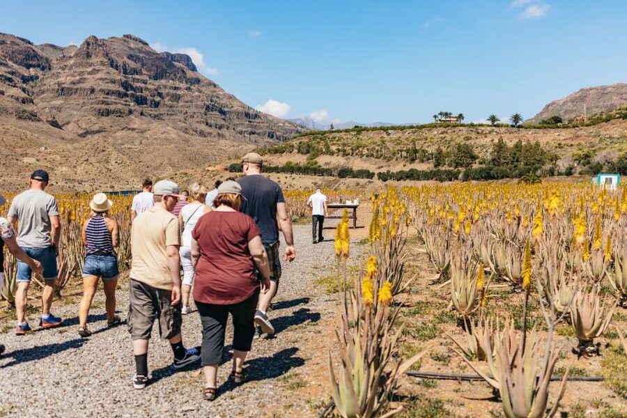 South Gran Canaria: Off-Road Valleys & Villages Jeep Tour - Why this Jeep tour gets beyond the resort strip