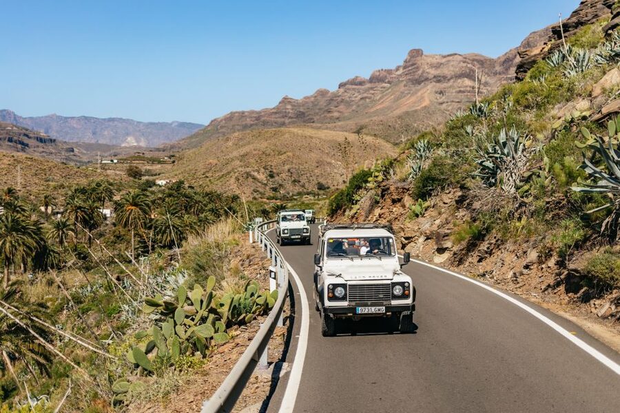 South Gran Canaria: Off-Road Valleys & Villages Jeep Tour - Through the Valley of the Thousand Palms and Fataga