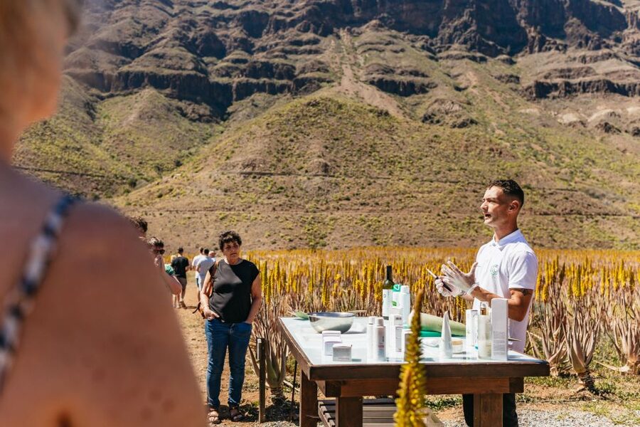 South Gran Canaria: Off-Road Valleys & Villages Jeep Tour - What the $74 price really buys you
