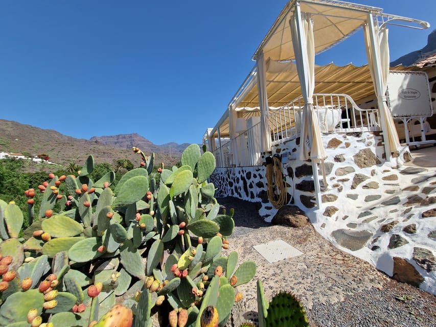 Spanish Cured Meats & Wine Tasting Tour in Mogan - Key points to know before booking