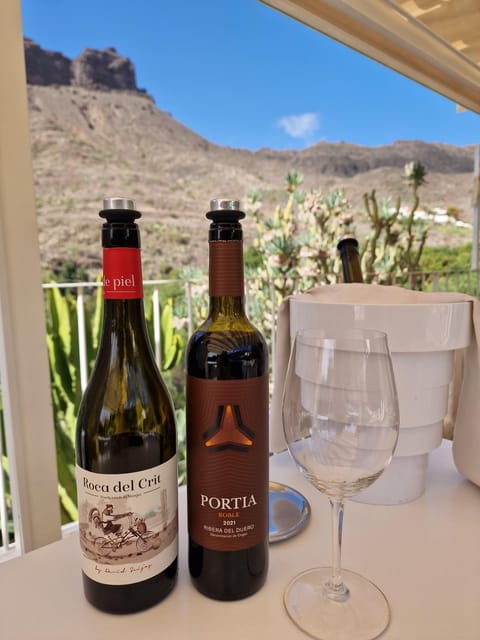 Spanish Cured Meats & Wine Tasting Tour in Mogan - What I like most about the experience