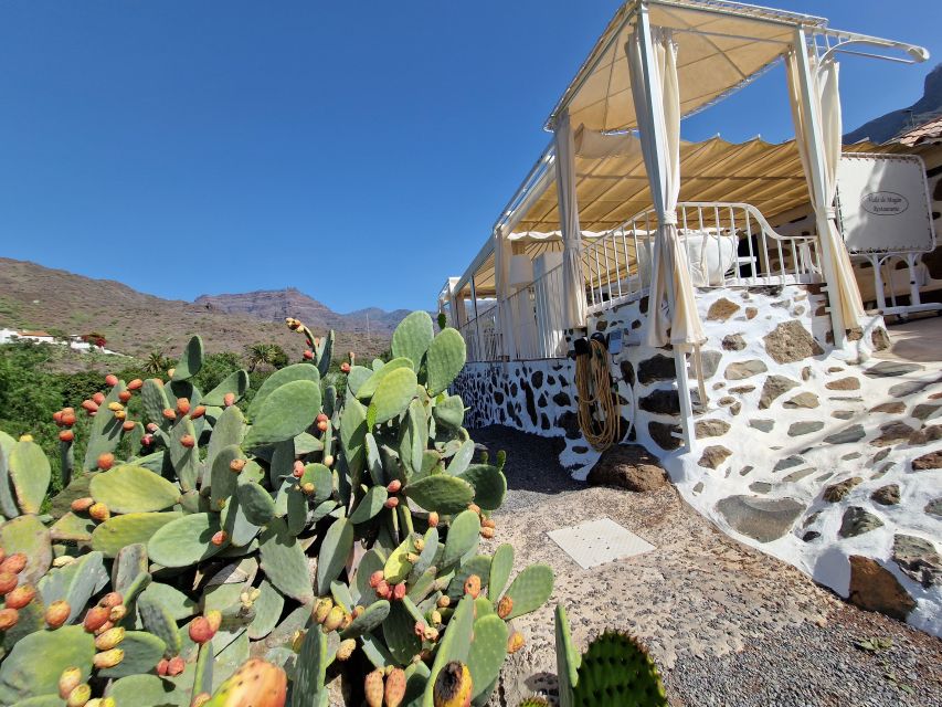 Spanish Cured Meats & Wine Tasting Tour in Mogan - Bread, olive oil, and wine complete the tasting