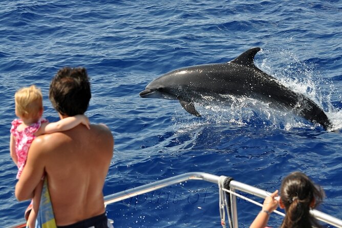 Spirit of the Sea: Cetacean sighting in Gran Canaria - The glass-bottom viewing area