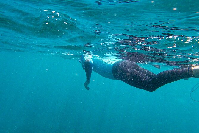 Stand Up Paddle and Snorkeling Tour of Gran Canaria with Transfers south area - Starting with a beach lesson at 9:00 am