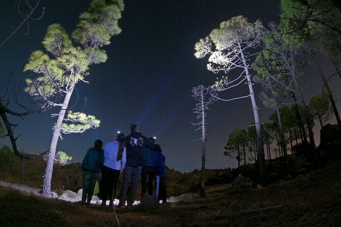 Sunset Hike and Stargazing Experience in Roque Nublo Mountains - Starting at Bailico, high in Gran Canaria