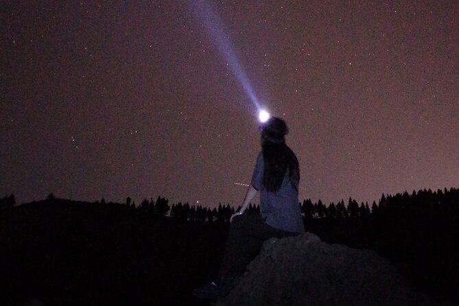 Sunset Hike and Stargazing Experience in Roque Nublo Mountains - Walking through the forest and reading the island’s rocks
