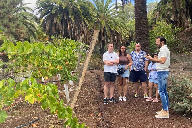 Taste Gran Canaria's unique wines - Who will enjoy this wine tour most?