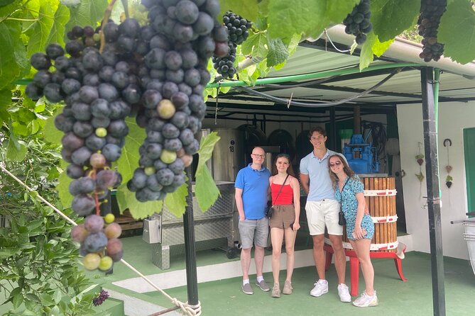 Taste Gran Canaria's unique wines - Practical details before you reserve