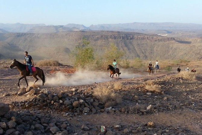 The Best Horse Riding Experience in Gran Canaria (1 hour) - Hotel pickup can simplify the afternoon