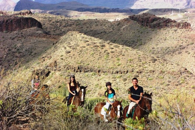 The Best Horse Riding Experience in Gran Canaria (1 hour) - Is $43.14 good value?