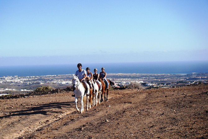 The Best Horse Riding Experience in Gran Canaria (1 hour) - Seeing Maspalomas from the hills