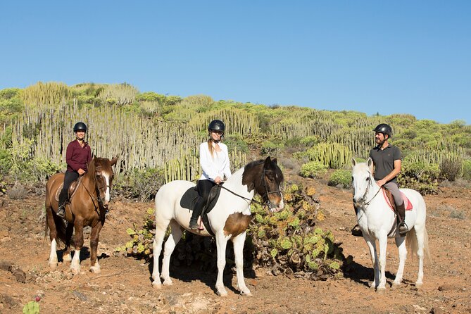 The Best Horse Riding Experience in Gran Canaria (2 hours) - What experienced riders can expect