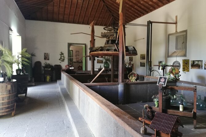 The best of Gran Canaria: 4 Hours Private Cruise Tour - Vegueta: Las Palmas through streets and old buildings
