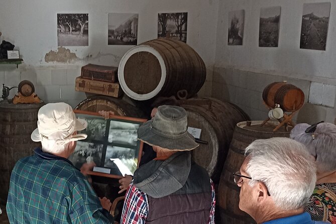 The best of Gran Canaria: 4 Hours Private Cruise Tour - Pickup, timing, and the question of the cruise