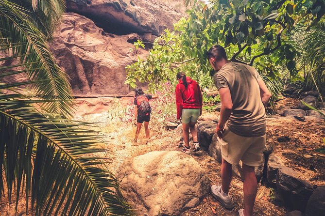 The Red Canyon Tour - Small Group Trip with Local Food Tasting ツ - Barranco de Las Vacas, the red canyon in miniature