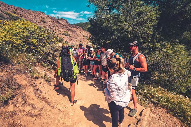 The Volcano Heart Tour: Hiking, Tasting and Sunset Experience - From Bandama’s rim to the island’s volcanic core
