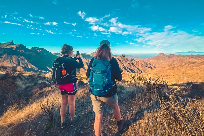 The Volcano Heart Tour: Hiking, Tasting and Sunset Experience - Transport saves you from Gran Canaria’s mountain roads
