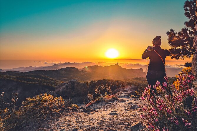 The Volcano Heart Tour: Hiking, Tasting and Sunset Experience - Who should book this mountain excursion?