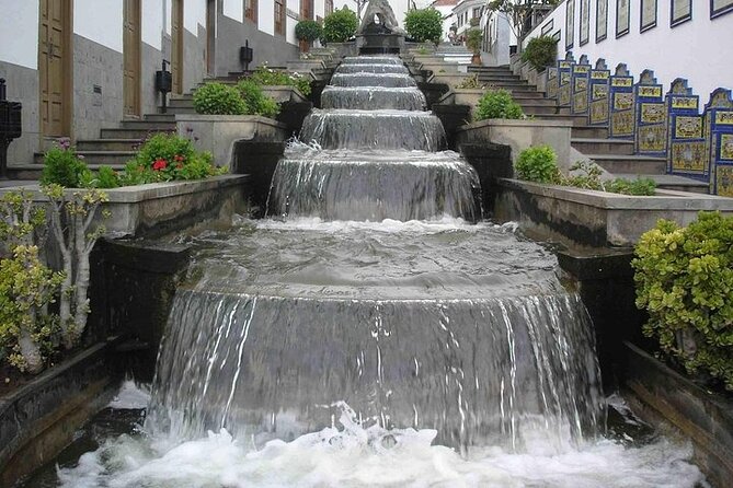 Tour to Guayadeque, Firgas, Fataga - VIP - Why this tour is useful for a first look at Gran Canaria