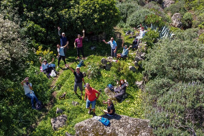 Wanderungen im grünen Gran Canaria - Key points to know before booking