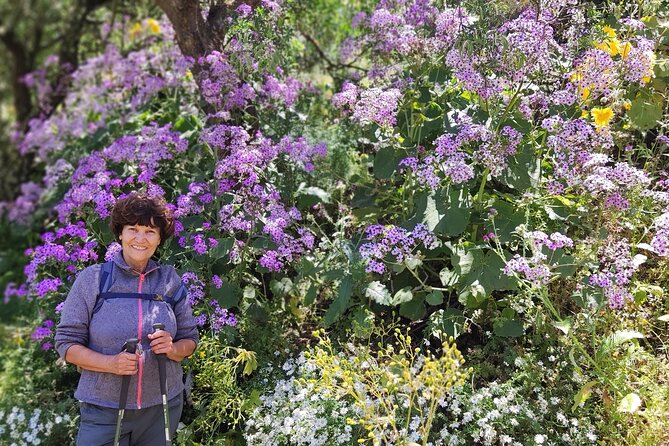 Wanderungen im grünen Gran Canaria - Following the flowers from January to May