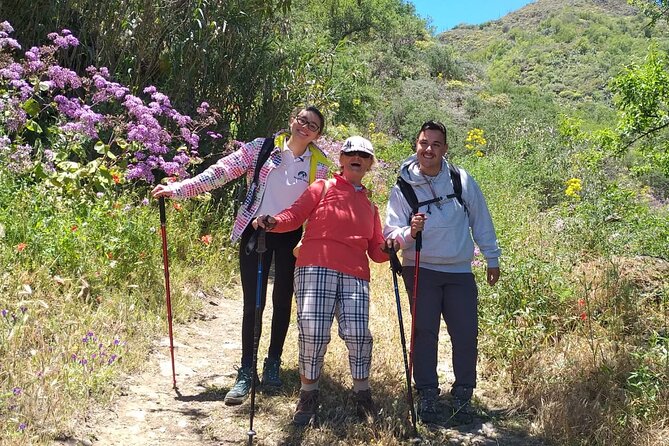 Wanderungen im grünen Gran Canaria - What the reviews reveal about the experience