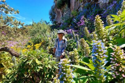 Wanderungen im grünen Gran Canaria