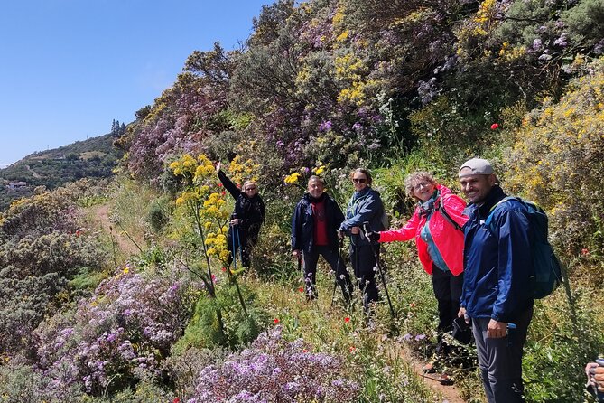 Wanderungen im grünen Gran Canaria - Weather, cancellations, and flexible planning