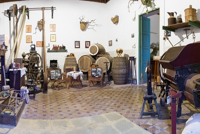 Winery Tour, Wine Museum, and Tasting in Gran Canaria - A family winery in Santa Brígida